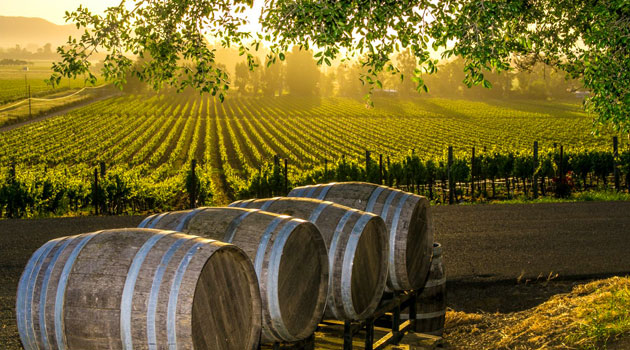 Winery Tours